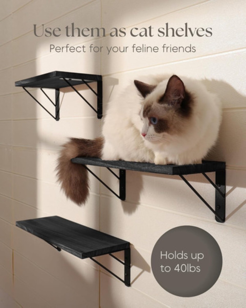 "3 Repisas Flotantes Madera Minimalista Muebles Hogar Decorar negro "