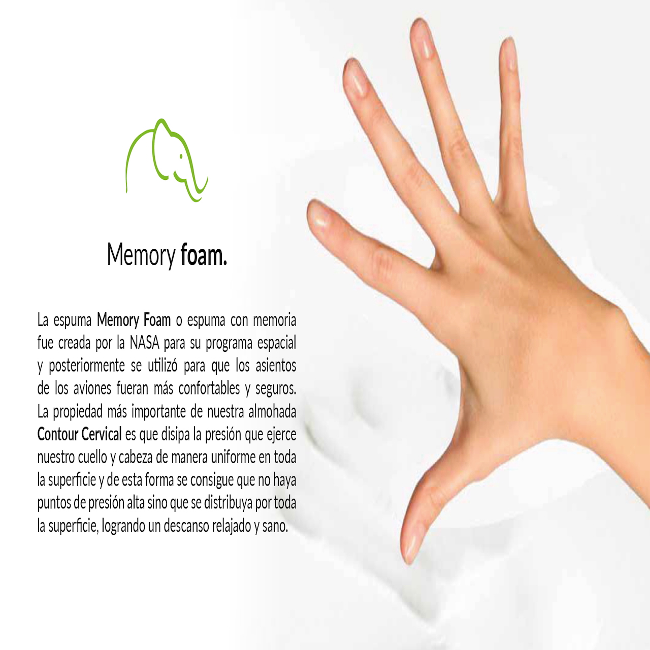 Lester Contour - Paquete de 2 Almohadas Ortopédicas Cervicales de Memory Foam, Tamaño estándar