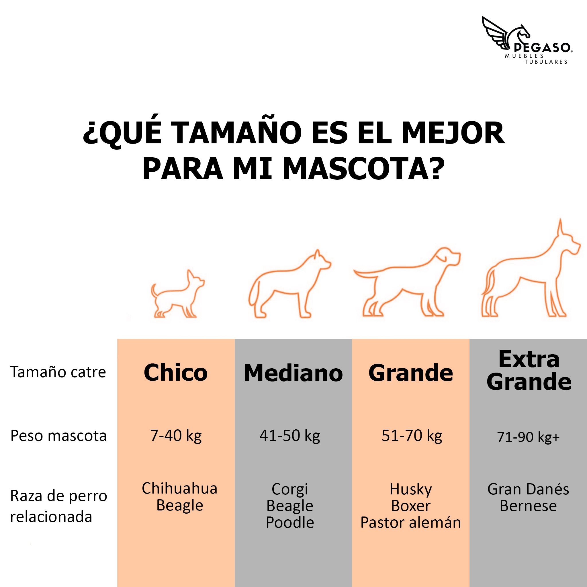 PEGASO Cama Elevada para Perro tamaño Chico, 63x46x18.5 cm (Mod KM-CH)