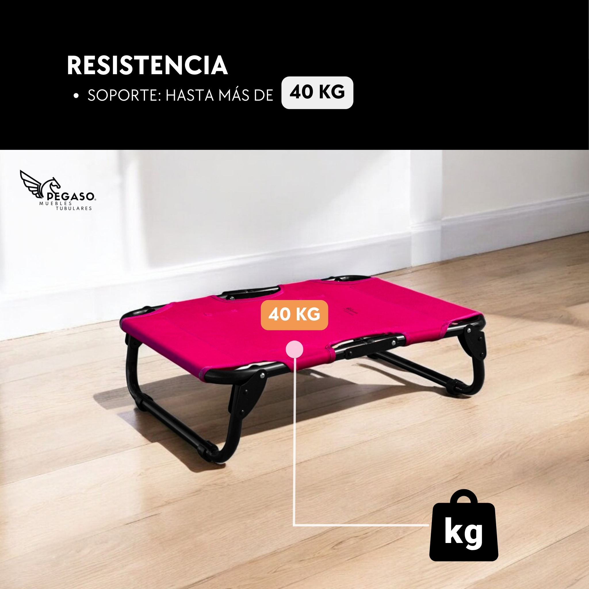 PEGASO Cama Elevada para Perro tamaño Chico, 63x46x18.5 cm (Mod KM-CH)