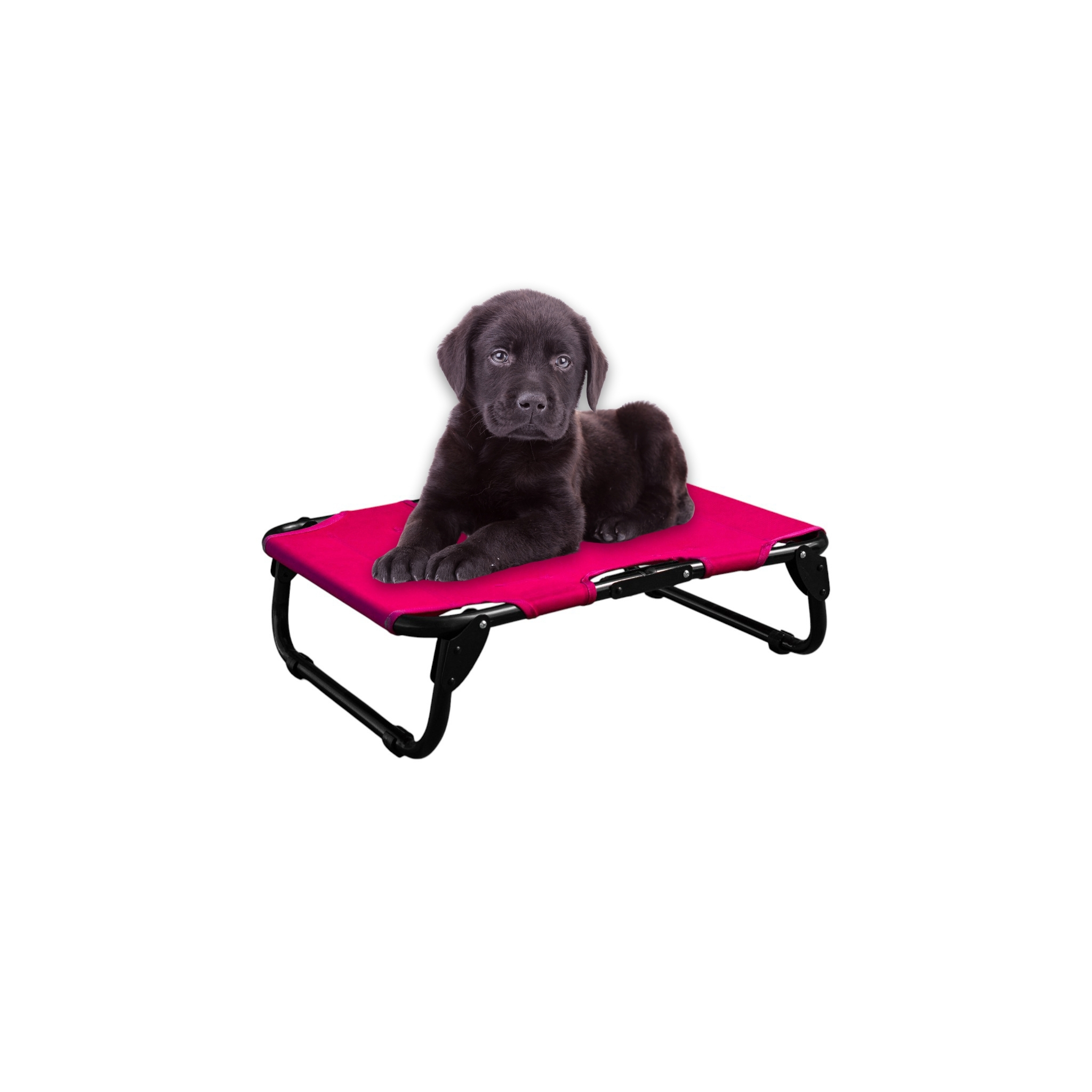 PEGASO Cama Elevada para Perro tamaño Chico, 63x46x18.5 cm (Mod KM-CH)
