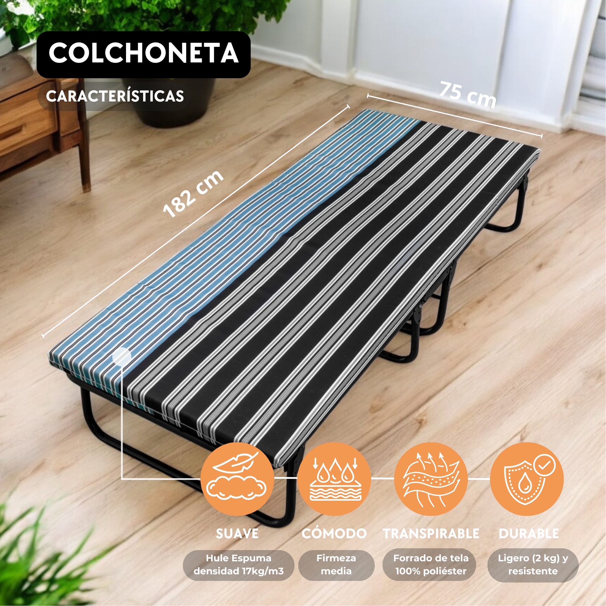 Colchoneta Para Catre Hule Espuma 6 Cm - Pegaso