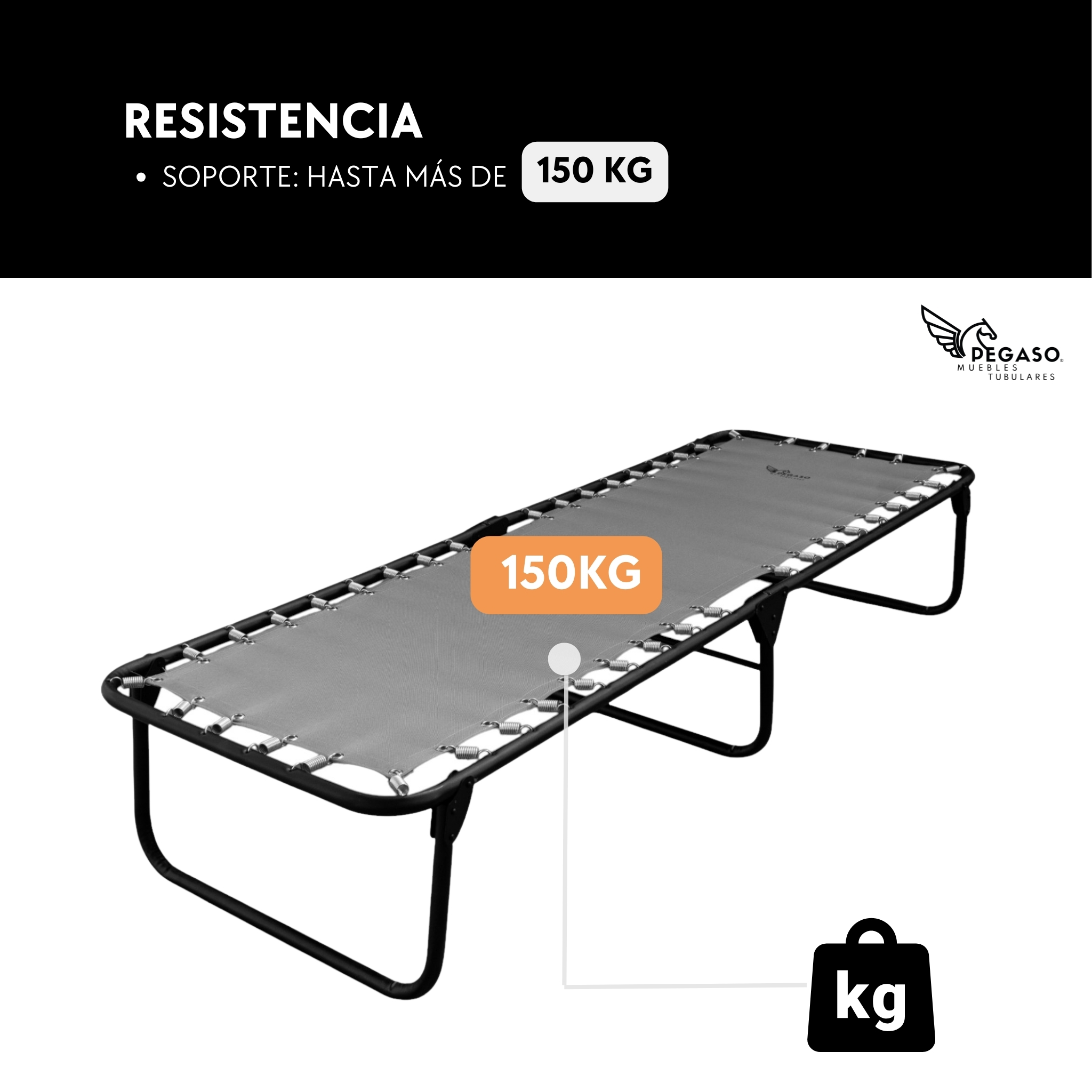 Catre Clásico de Lona de Poliéster Plastificada Ojillada MOD: KSL-GRIS.