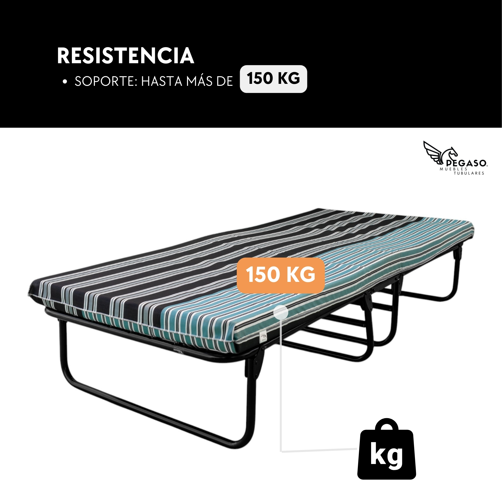 Catre Camastro Plegable de Malla Metálica con Colchón De 8 cm. Pegaso 