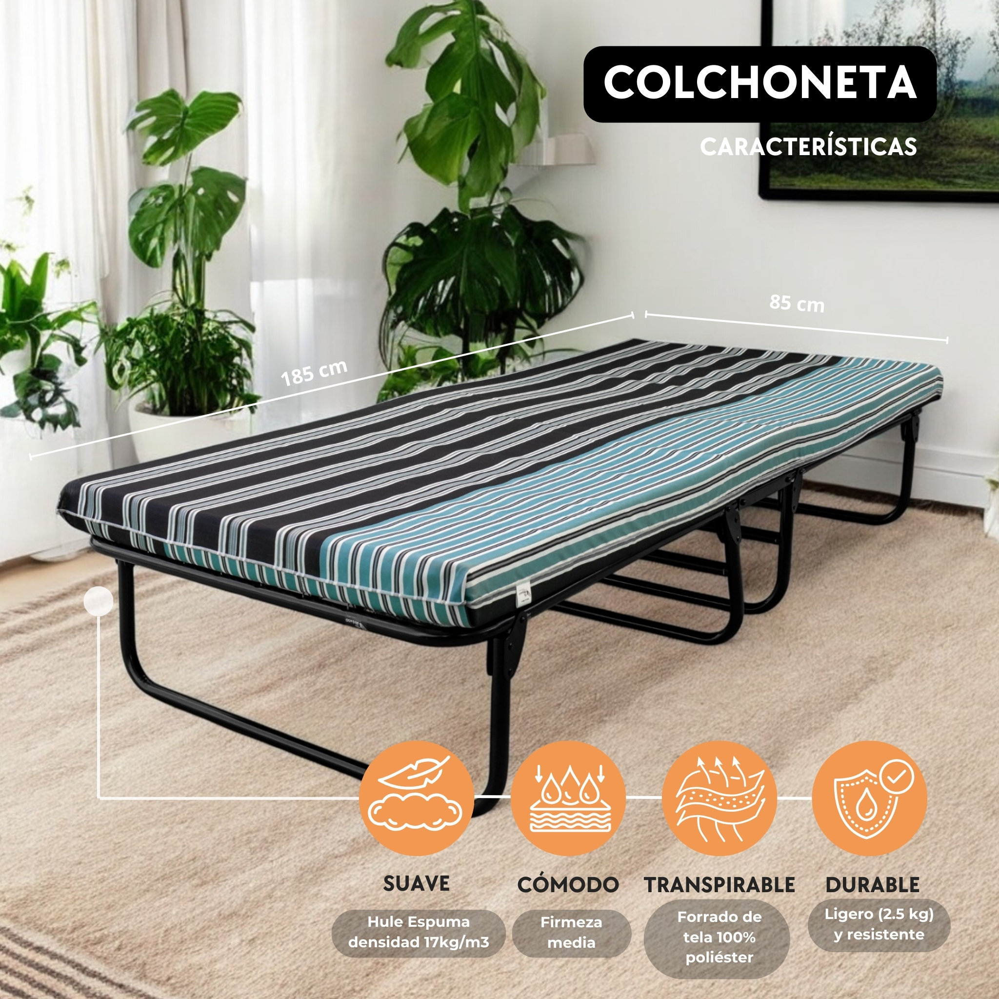 Catre Camastro Plegable de Malla Metálica con Colchón De 8 cm. Pegaso 