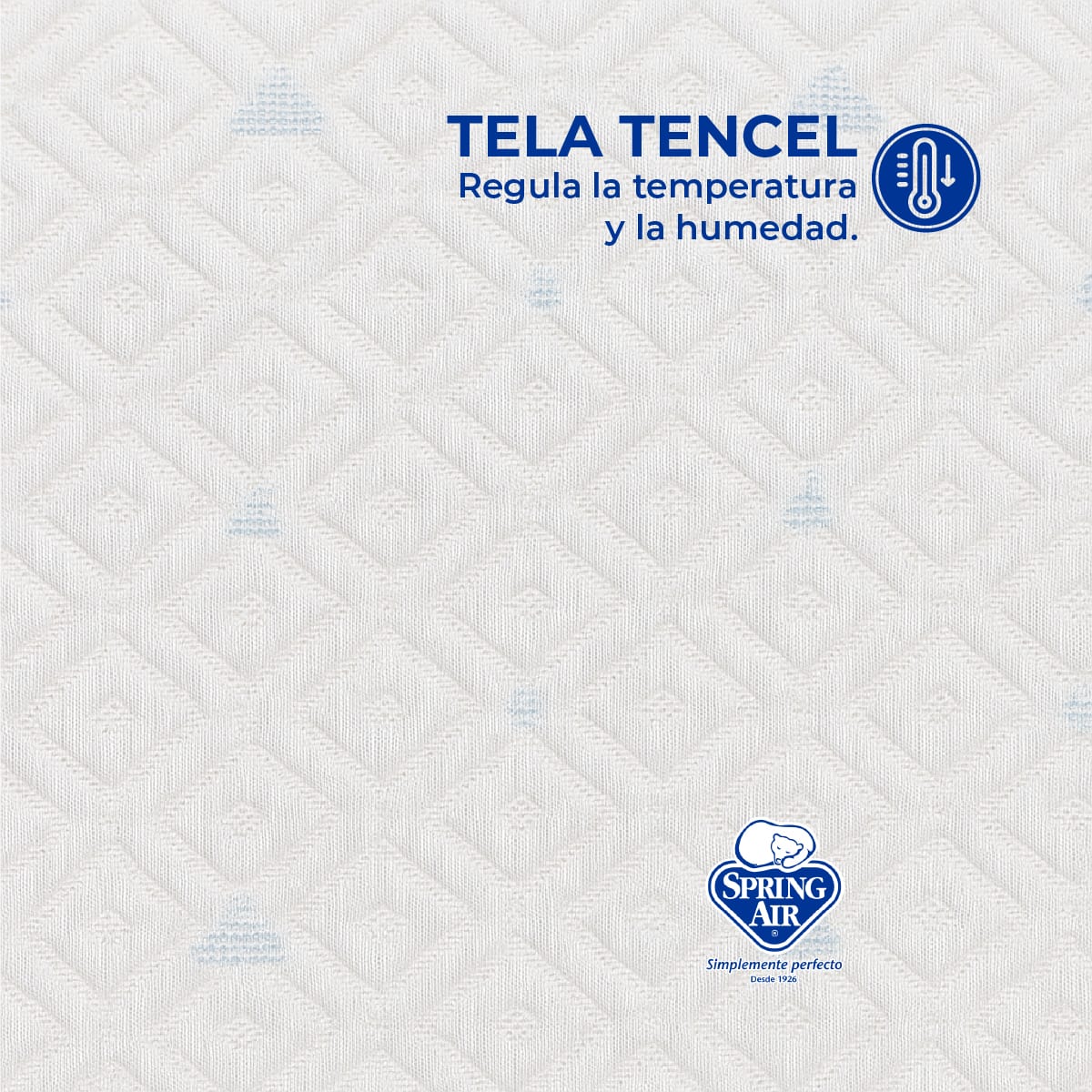 2 Almohadas Cool Sleep + Cubre Colchón King Size Freeze