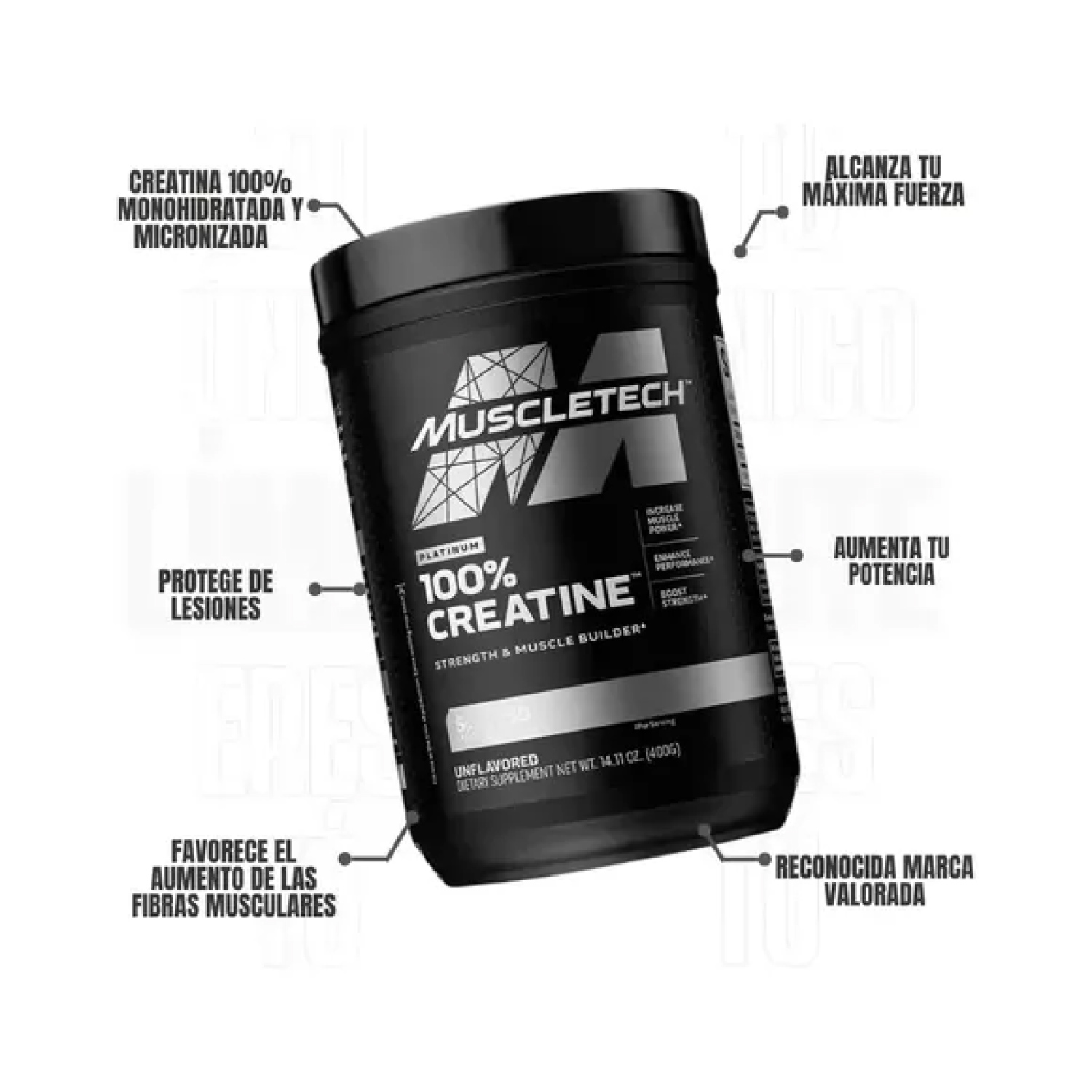Creatina Muscletech Platinum 100% Creatine 400g 80 Serv.