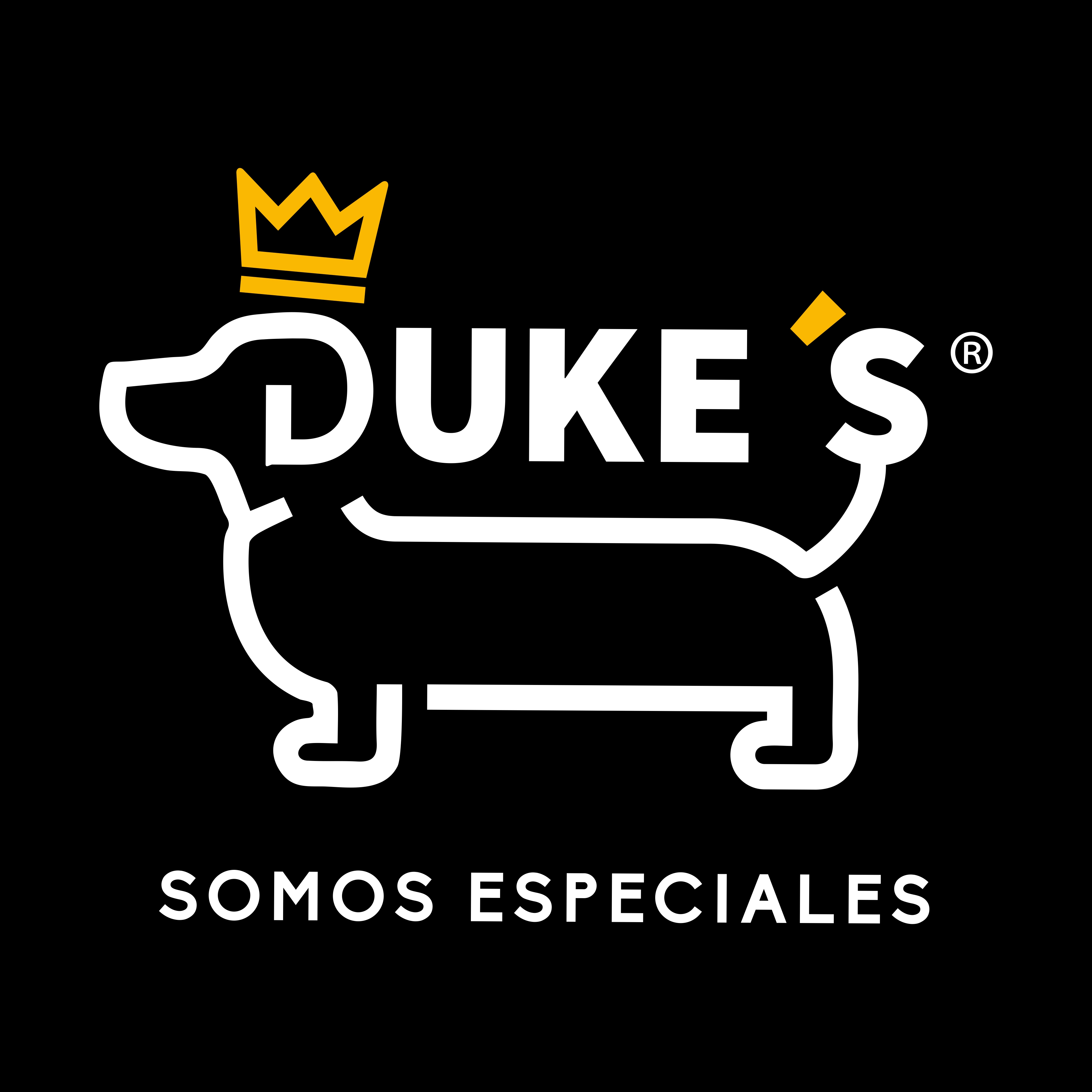 Duke's Premios Para Perros Hígado Res 400g Alto Proteína Premium 100% Natural Sin Conservadores