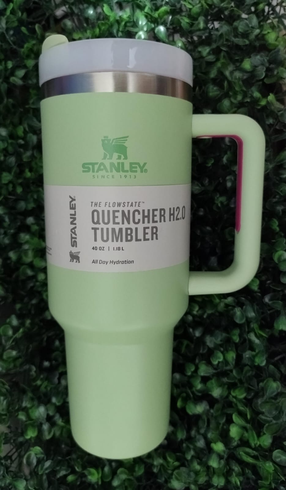 Vaso Termo Liso Color Verde Pistache 1.19L Stanley Flowstate Quencher Tumbler 40oz