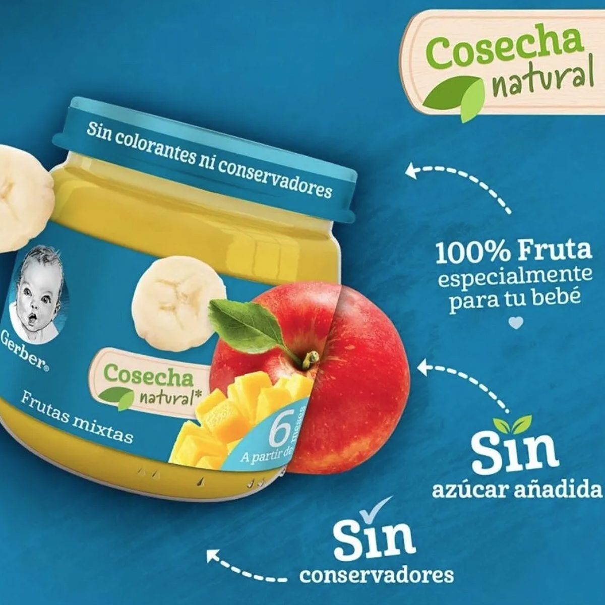 Papillas Gerber Etapa 2 113 Gr 16 Pz