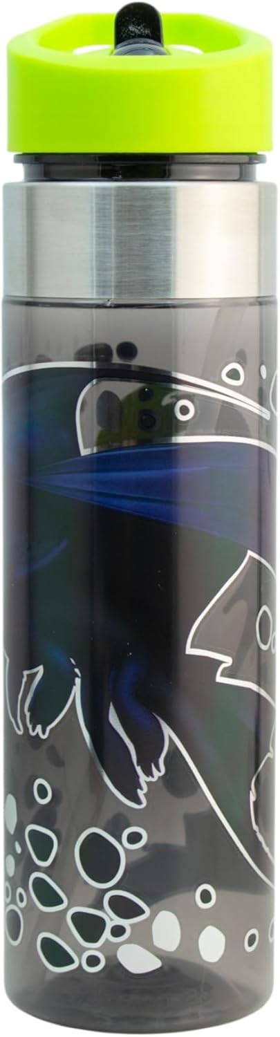 Chimuelo Botella para agua live action, Cómo Entrenar a tu Dragón, 650ML, Incluye boquilla abatible