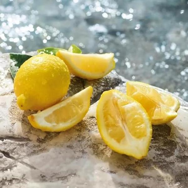 Dolce & Gabbana Light Blue Pour Homme, Eau De Toilette en spray, para hombres - 200 ml / 6,7 fl.oz