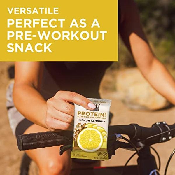 Barritas de proteína funcional Laird Superfood: Barritas de proteína, pero mejoradas con ingredientes reales, hongos funcionales, 10 g de proteína vegetal, 6 g de fibra, sin OMG, s