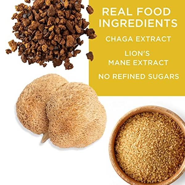 Barritas de proteína funcional Laird Superfood: Barritas de proteína, pero mejoradas con ingredientes reales, hongos funcionales, 10 g de proteína vegetal, 6 g de fibra, sin OMG, s