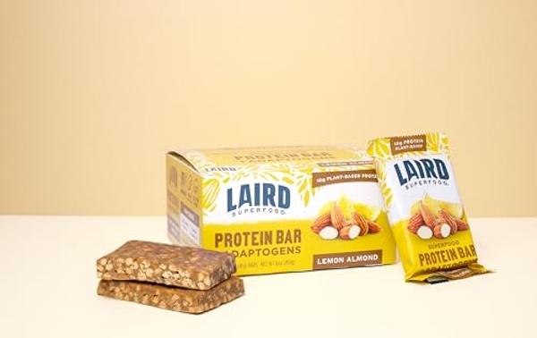 Barritas de proteína funcional Laird Superfood: Barritas de proteína, pero mejoradas con ingredientes reales, hongos funcionales, 10 g de proteína vegetal, 6 g de fibra, sin OMG, s