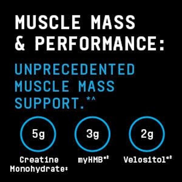 Rule One Proteins, Ganador de Masa - Chocolate con Mantequilla de Cacahuete, Fórmula Alta en Calorías para el Aumento de Peso con más de 1220 calorías, más de 250 g de Mezcla de Ca