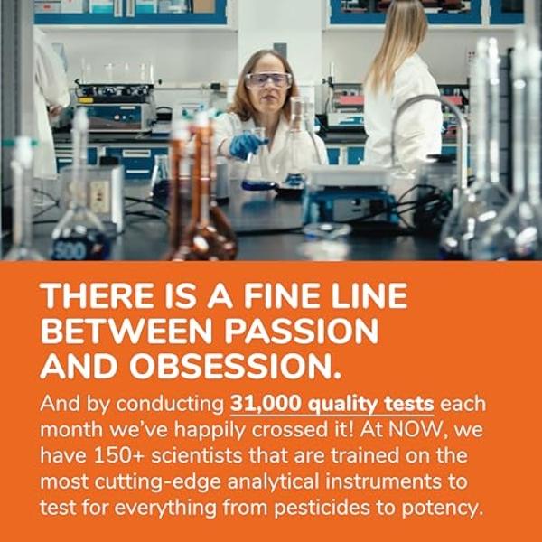 Bolsitas de nootrópicos alfa (mango) con ingredientes completamente cargados - 5 latas - 15 bolsitas por lata - Administración eficaz de nootrópicos, reemplazo de bolsitas de nicot