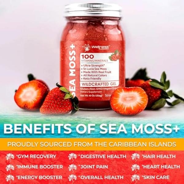Gel de musgo marino irlandés orgánico crudo - Gel de musgo marino superalimento silvestre - Sabor a fresa, rico en vitaminas y minerales de las aguas cristalinas del Caribe, apoyo 