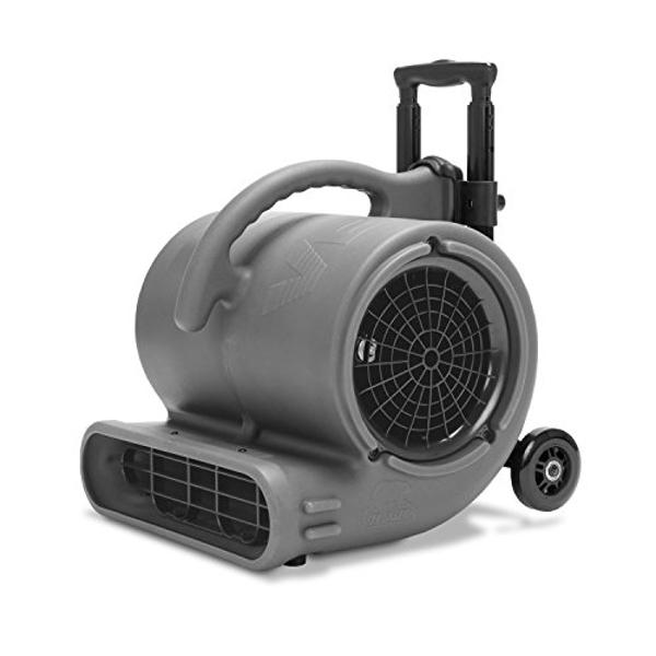 B-Air VP-50 1/2 HP 2950 CFM Ventilador de aire con asa, gris