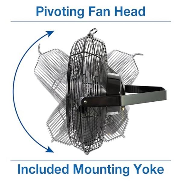 Ventilador circulador de aire para toda la habitación Vornado 52 con 3 velocidades, color negro