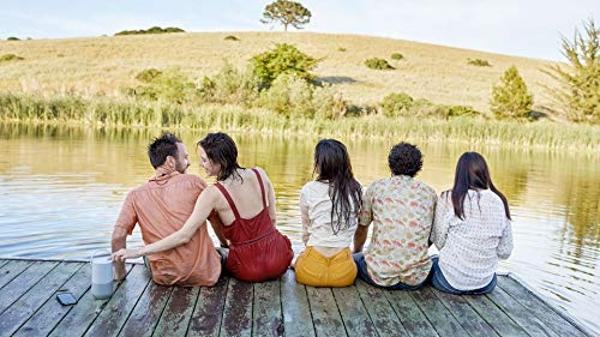 Altavoz inteligente portátil Bose: altavoz Bluetooth inalámbrico con control de voz de Alexa integrado, plateado