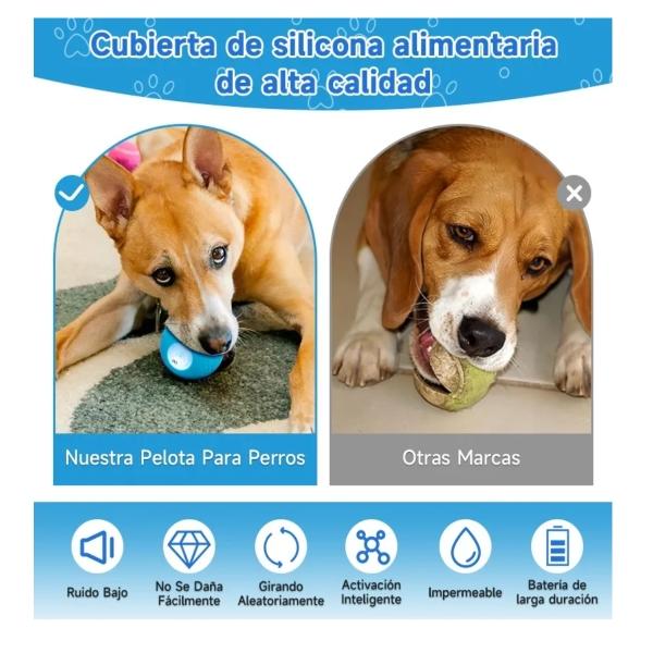 Juguetes Interactiva Pelota Automática Para Perro Movida Azul