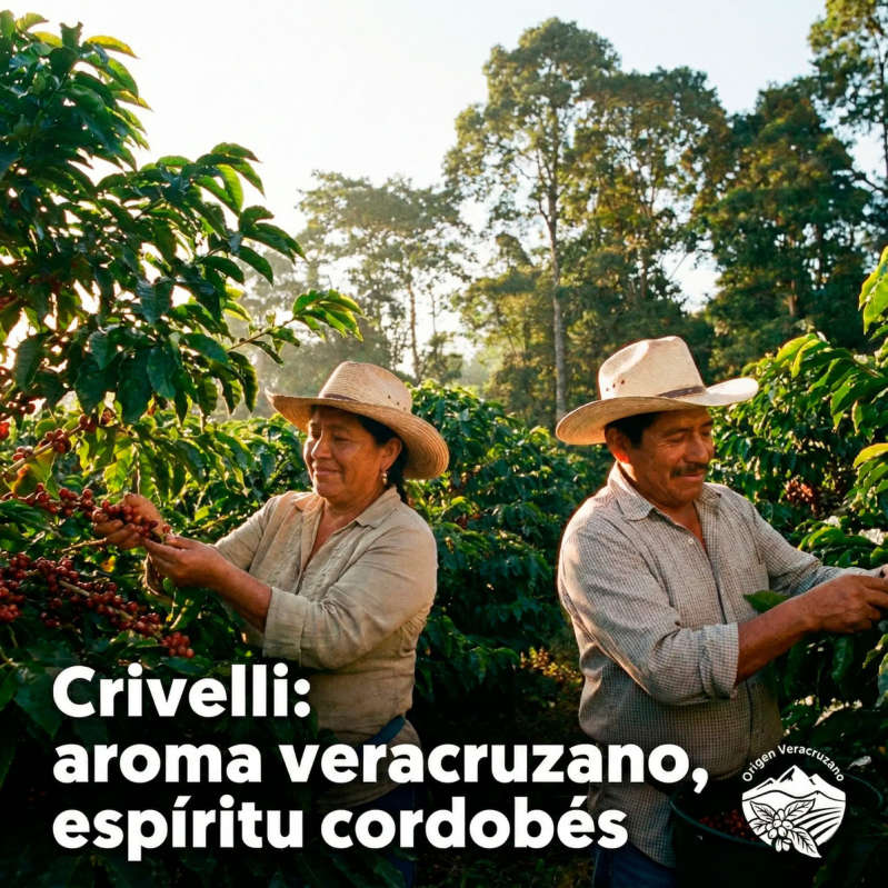 Café Molido 250gr Crivelli Cordoba Ecológico De Exportación