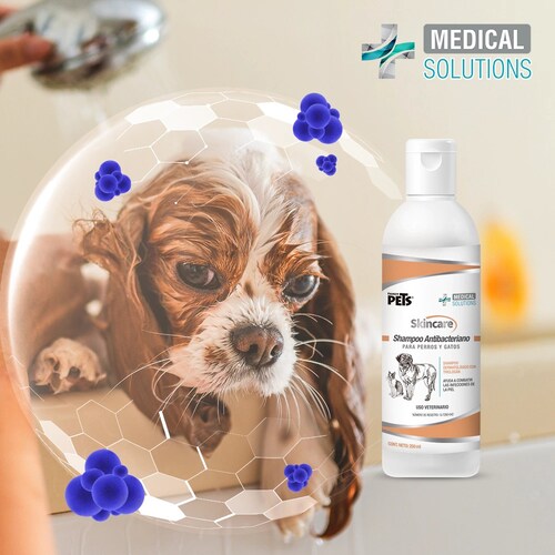Fancy Pets Skincare Shampoo Antibacteriano para Perros y Gatos 250 ml