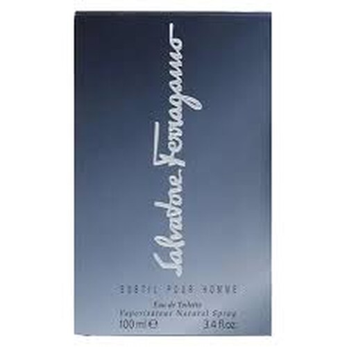 Fragancia Subtil pour Homme EDT 100ML para caballero